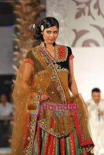 Model walks the ramp for Vikram Phadnis at Aamby Valley India Bridal Week day 4 on 1st Nov 2010 (71).JPG